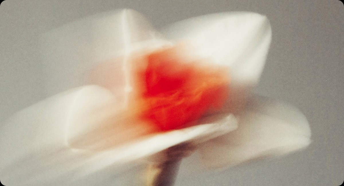 Blurred flower